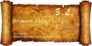 Brumecz Lili névjegykártya